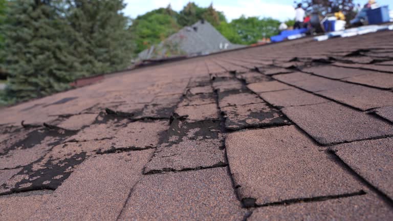 Best Asphalt Shingle Roofing  in Mount Airy, GA